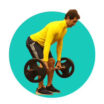 تمرین بالا تنه