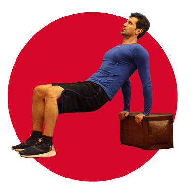 تمرین پشت بازو